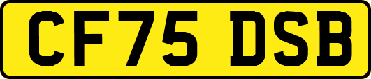 CF75DSB