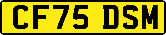CF75DSM