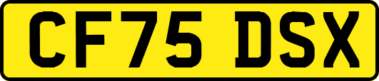 CF75DSX