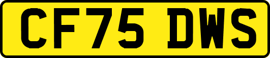 CF75DWS
