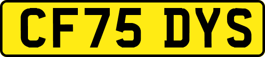 CF75DYS