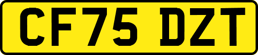 CF75DZT