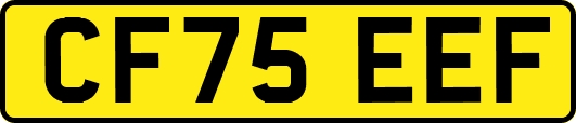 CF75EEF