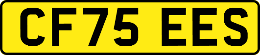 CF75EES