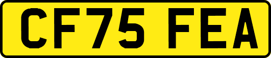 CF75FEA