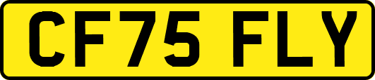 CF75FLY