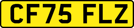 CF75FLZ