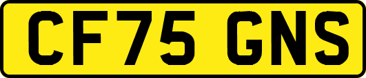 CF75GNS