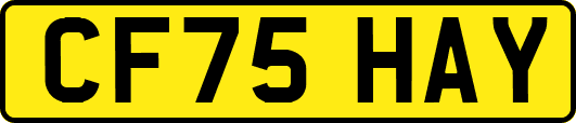 CF75HAY