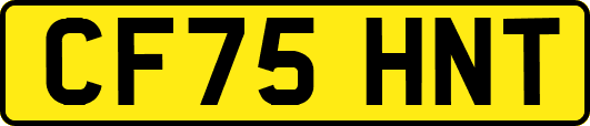 CF75HNT