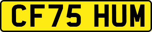 CF75HUM