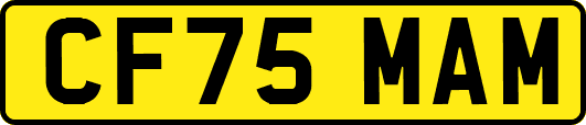 CF75MAM