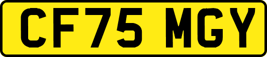 CF75MGY