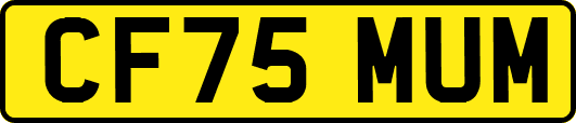 CF75MUM