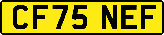 CF75NEF