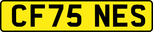 CF75NES