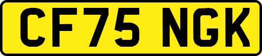 CF75NGK