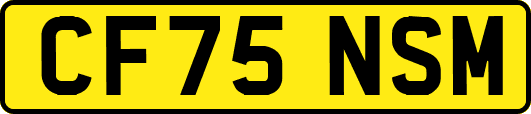 CF75NSM