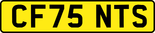 CF75NTS