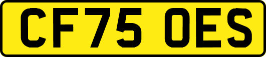CF75OES