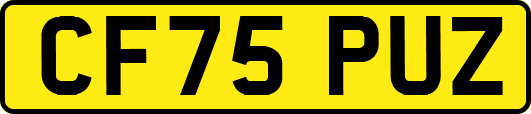 CF75PUZ