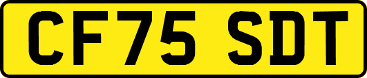 CF75SDT