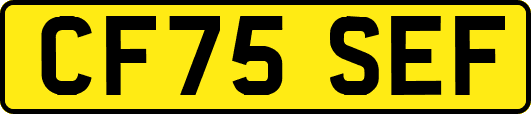 CF75SEF
