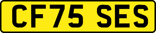 CF75SES
