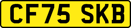 CF75SKB