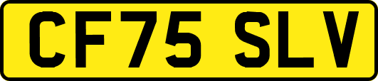 CF75SLV