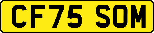 CF75SOM