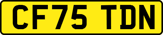 CF75TDN