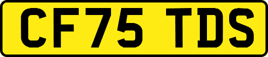 CF75TDS