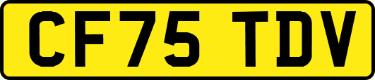 CF75TDV