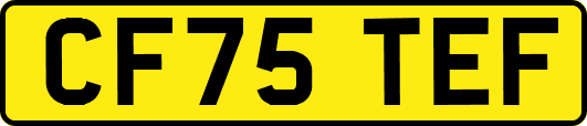 CF75TEF