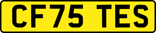 CF75TES
