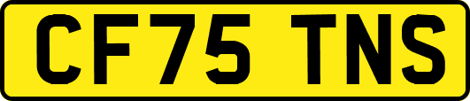 CF75TNS