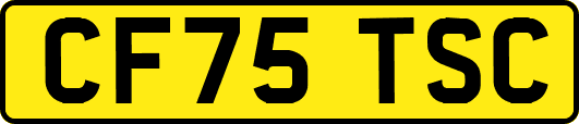 CF75TSC