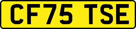 CF75TSE