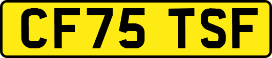 CF75TSF