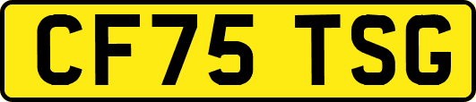 CF75TSG