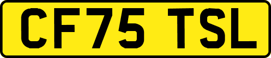 CF75TSL