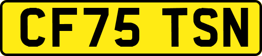 CF75TSN