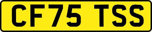 CF75TSS