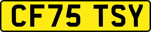 CF75TSY