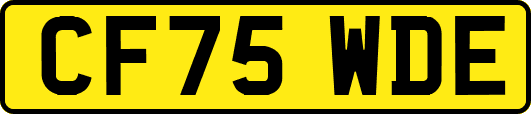 CF75WDE