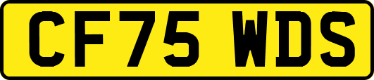 CF75WDS