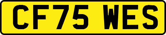 CF75WES