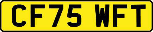 CF75WFT