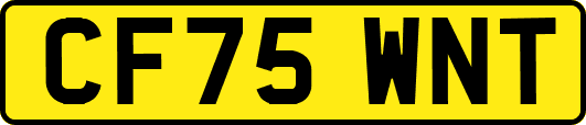 CF75WNT
